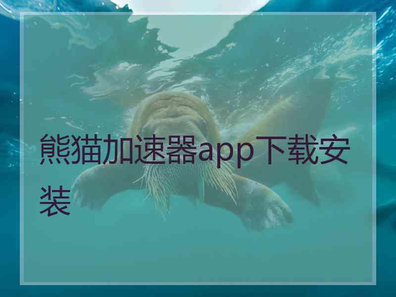 熊猫加速器app下载安装