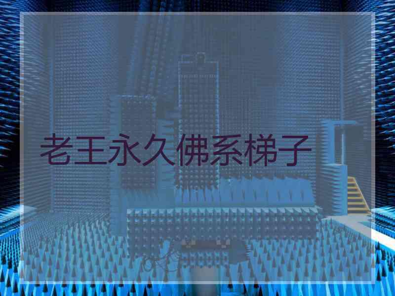 老王永久佛系梯子