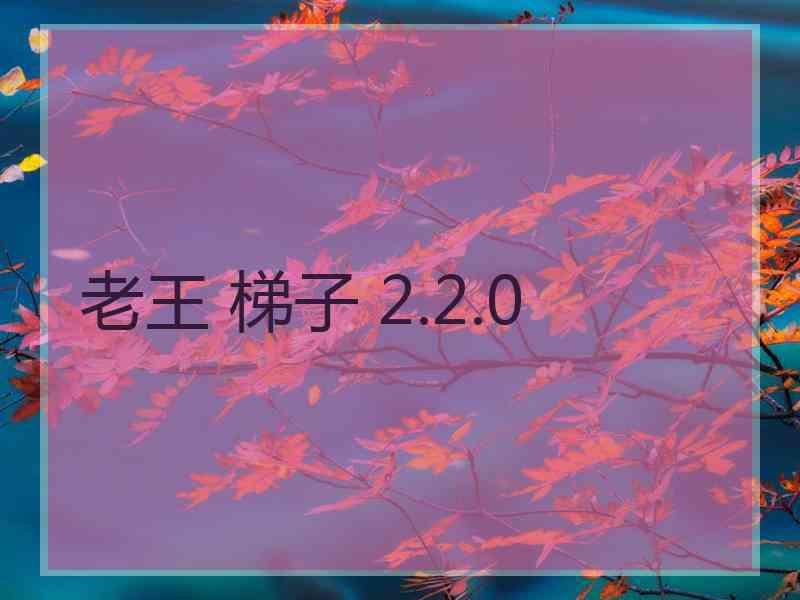 老王 梯子 2.2.0