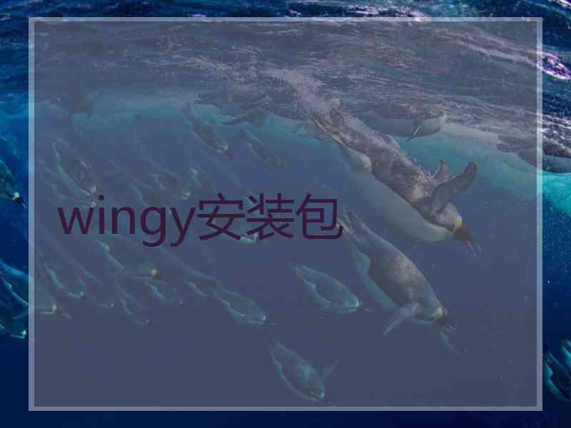 wingy安装包