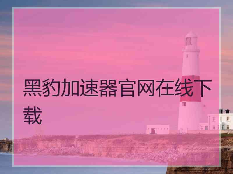 黑豹加速器官网在线下载