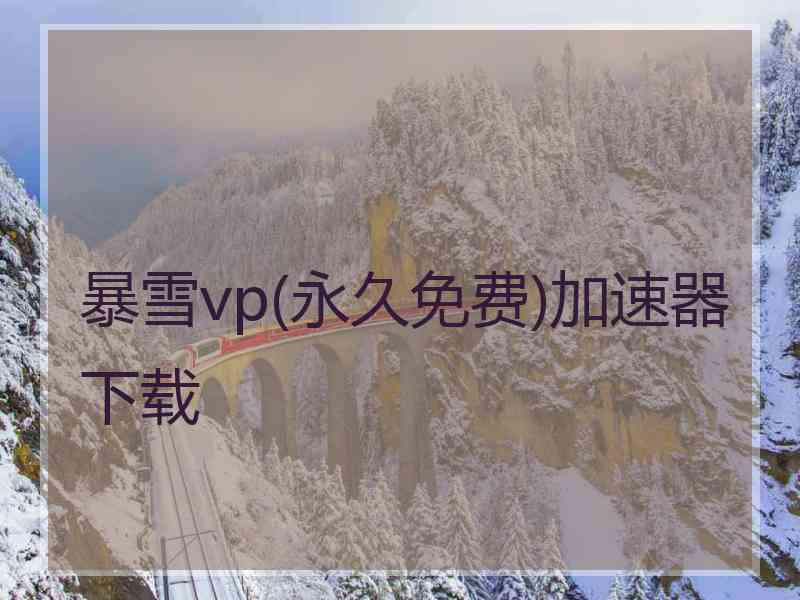 暴雪vp(永久免费)加速器下载