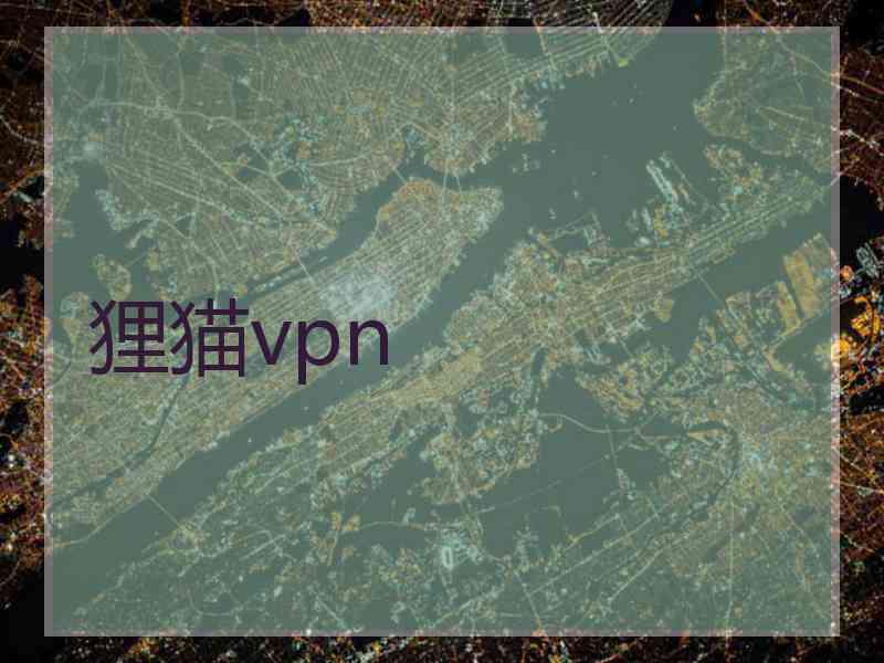 狸猫vpn