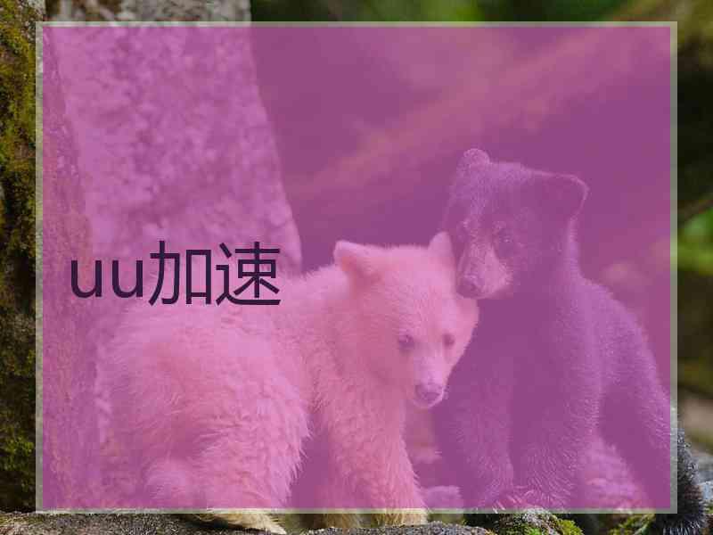 uu加速