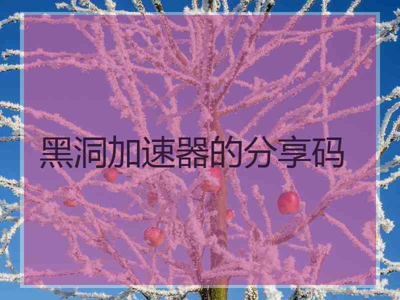 黑洞加速器的分享码