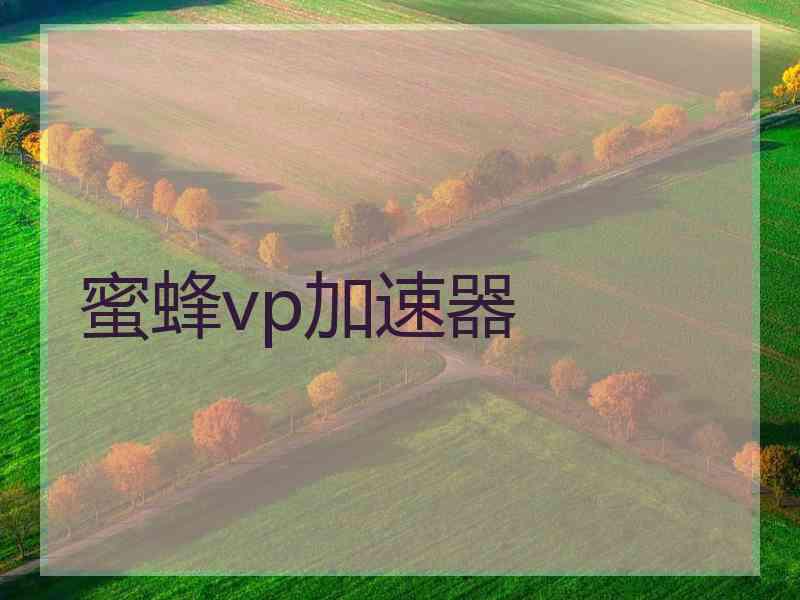 蜜蜂vp加速器