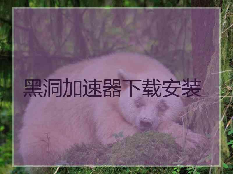 黑洞加速器下载安装
