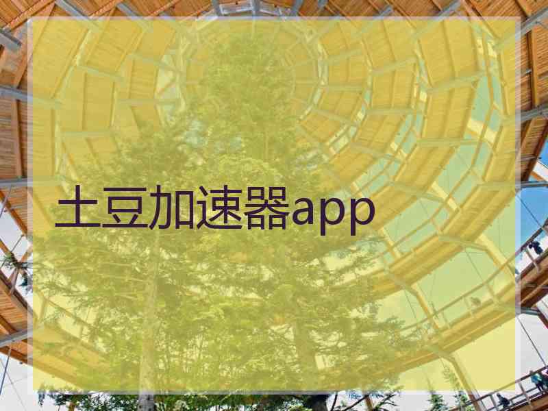 土豆加速器app