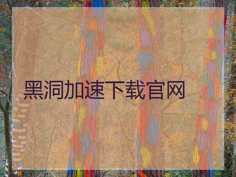 黑洞加速下载官网