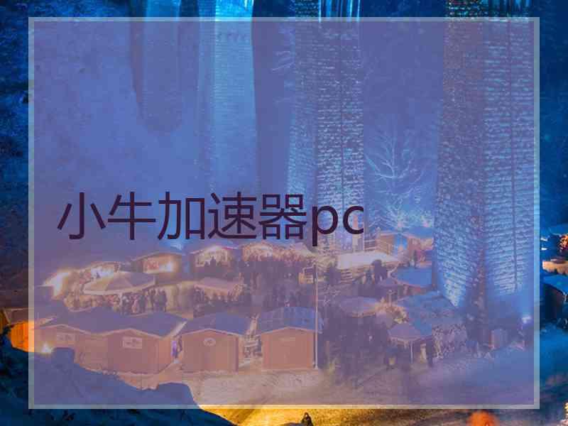 小牛加速器pc