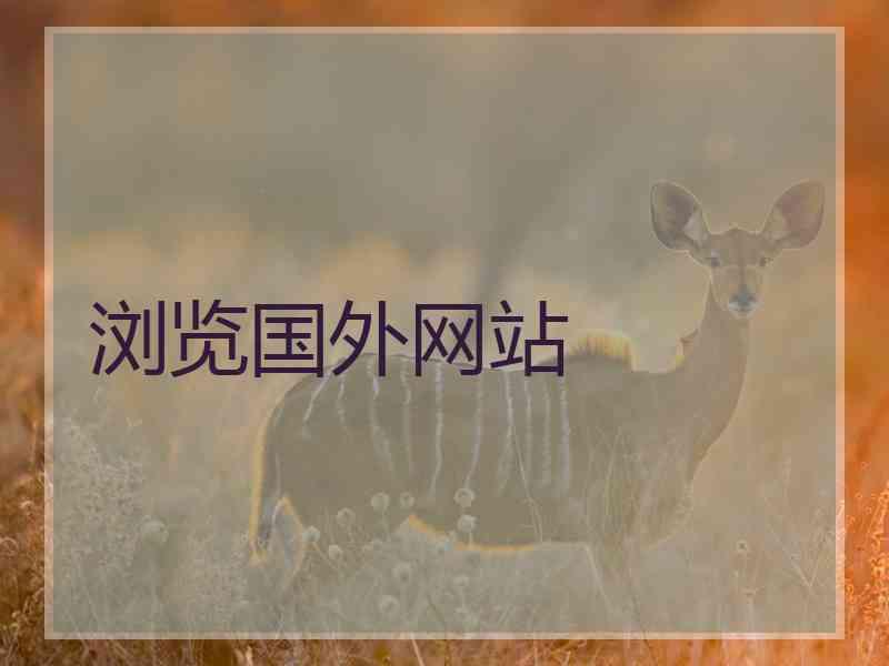 浏览国外网站