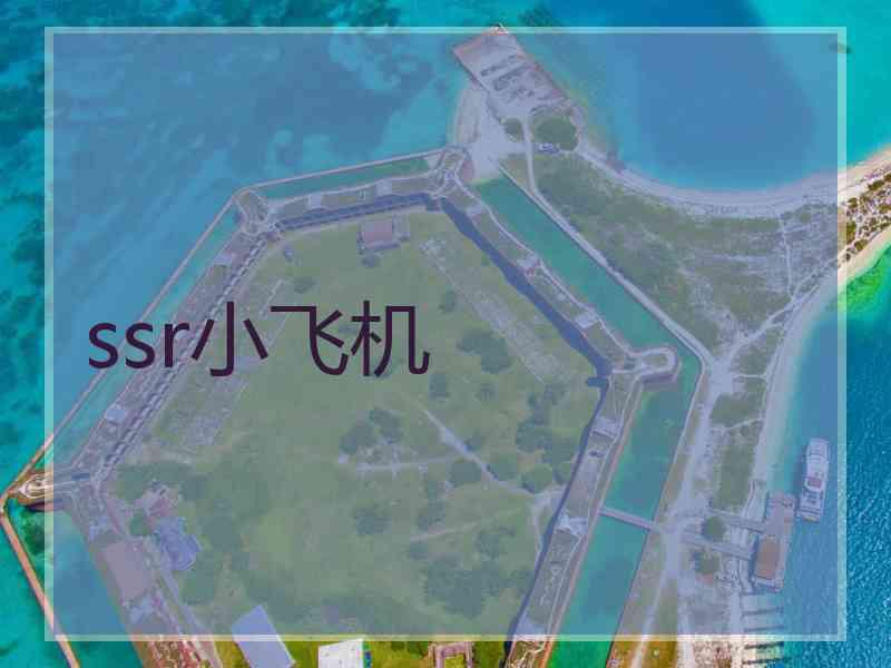 ssr小飞机