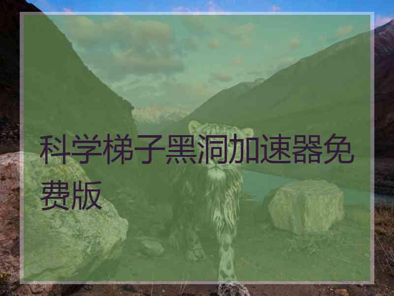 科学梯子黑洞加速器免费版