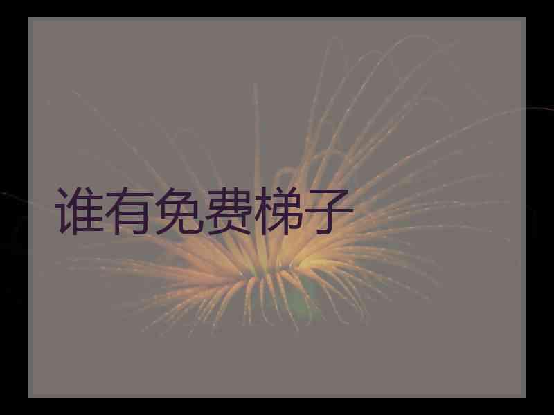 谁有免费梯子