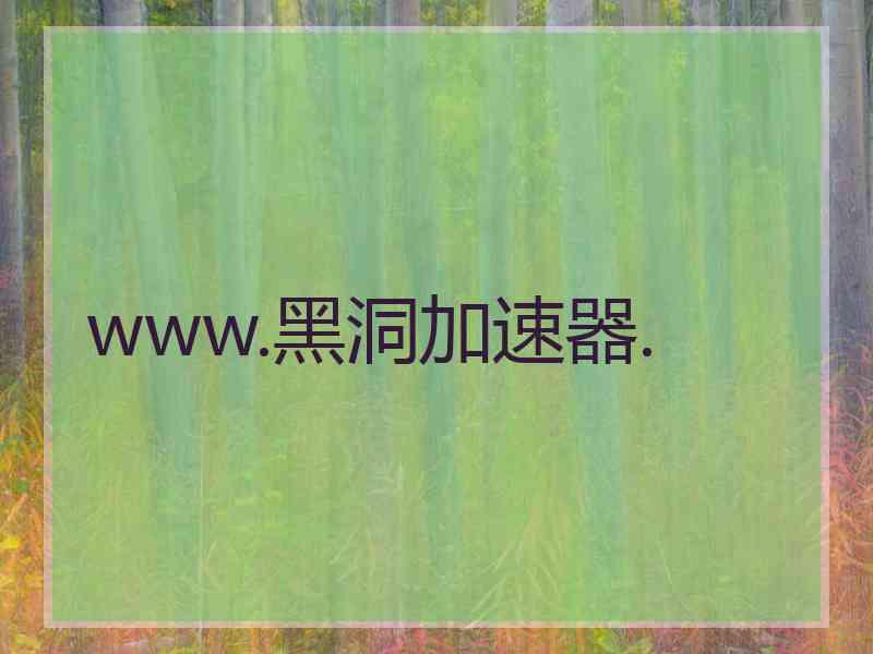 www.黑洞加速器.
