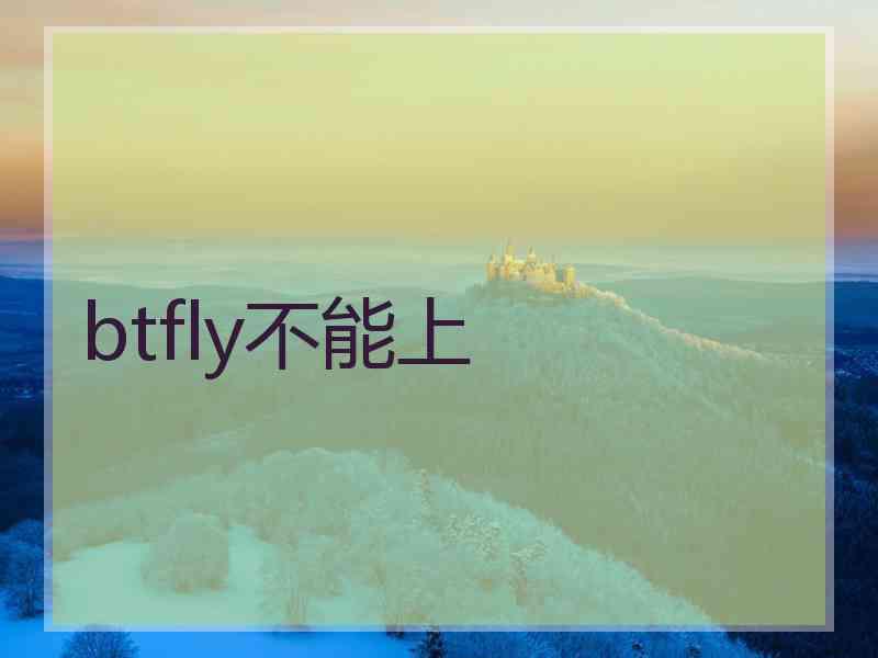 btfly不能上