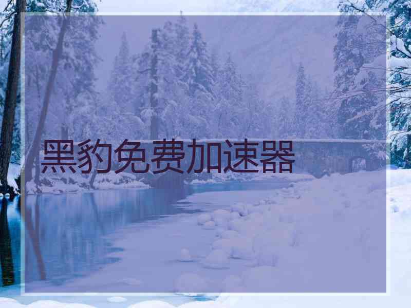 黑豹免费加速器