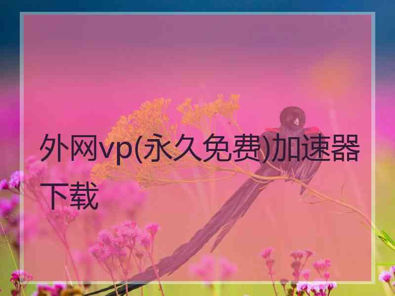 外网vp(永久免费)加速器下载