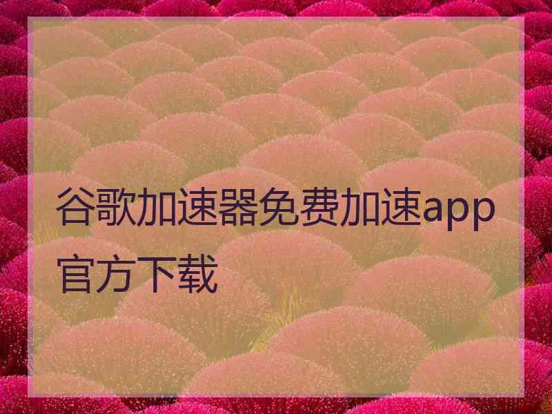 谷歌加速器免费加速app官方下载