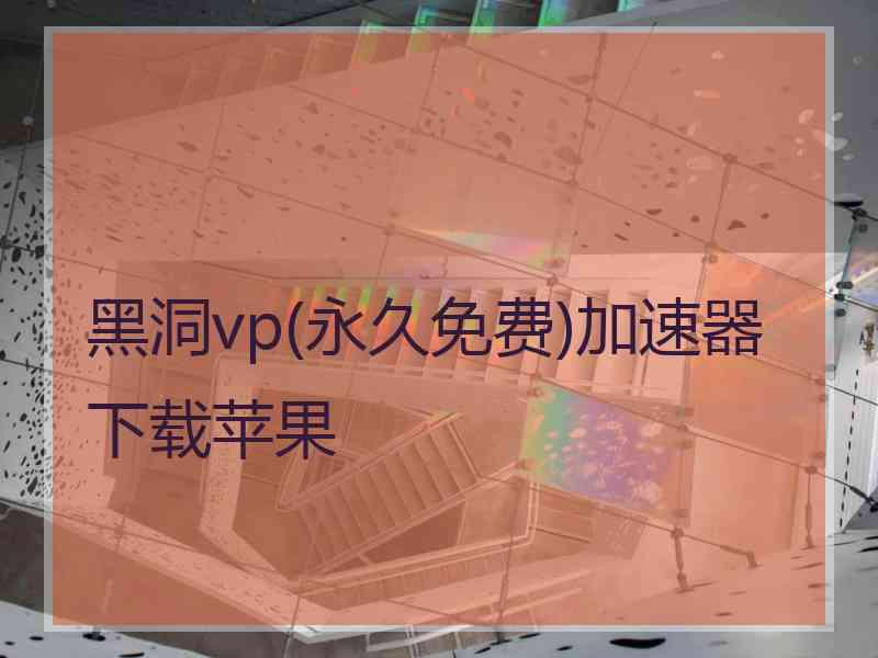 黑洞vp(永久免费)加速器下载苹果