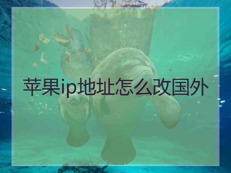 苹果ip地址怎么改国外