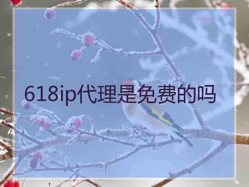 618ip代理是免费的吗