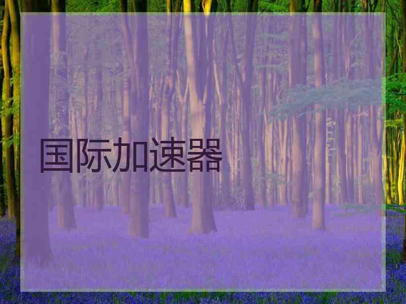 国际加速器