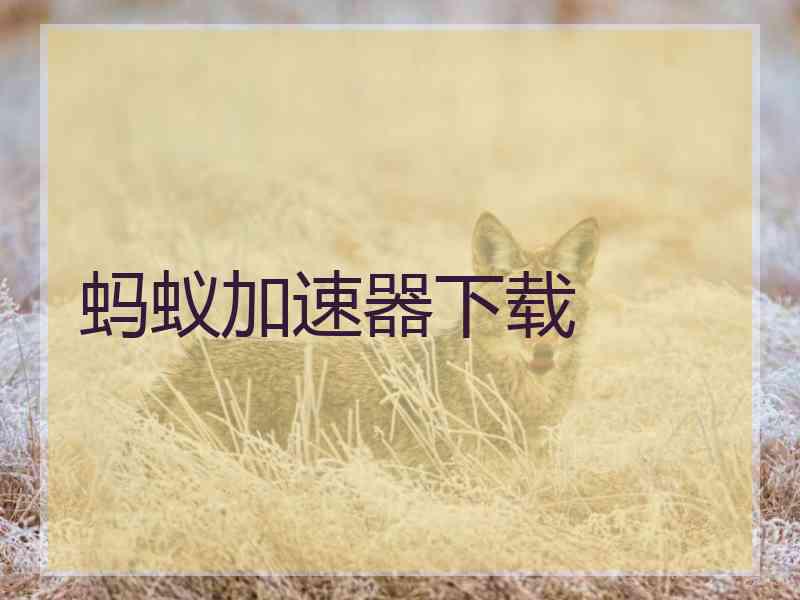 蚂蚁加速器下载