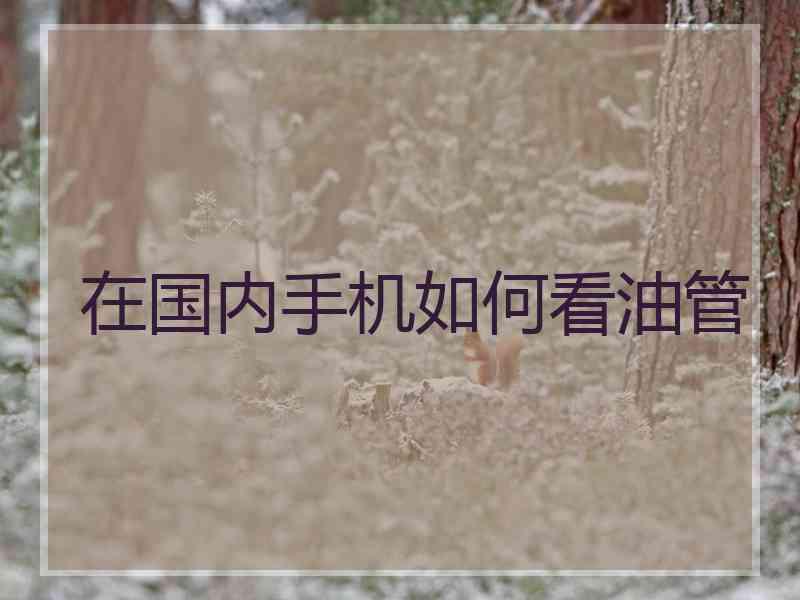 在国内手机如何看油管