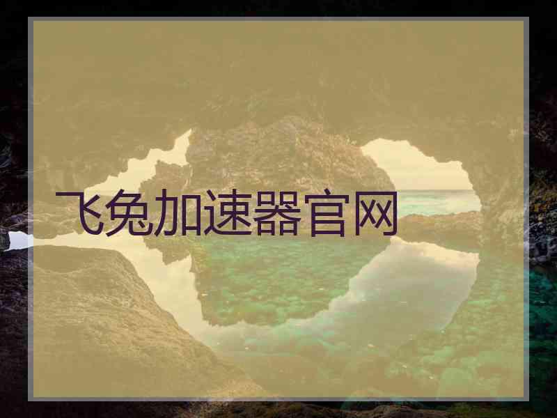飞兔加速器官网