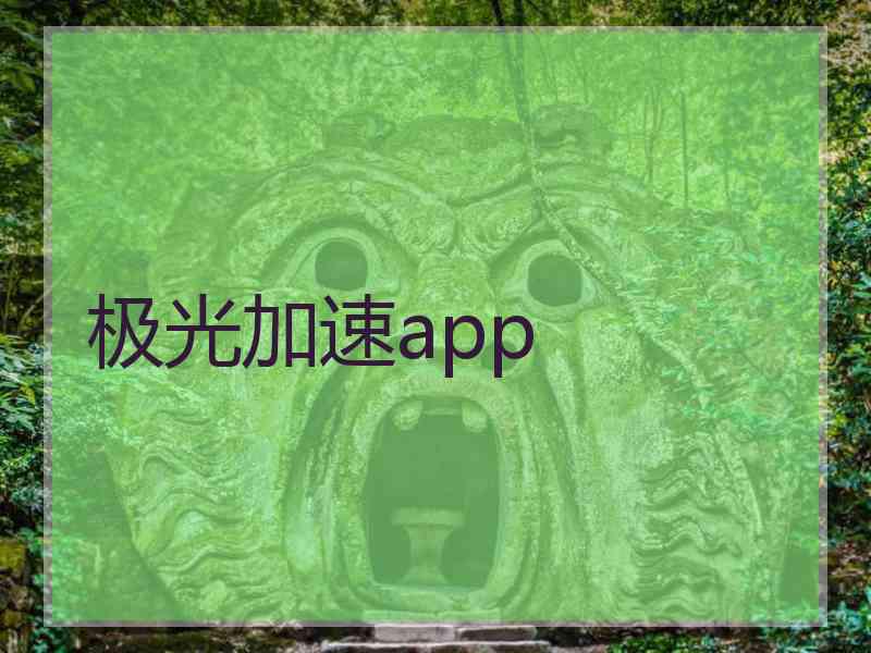 极光加速app