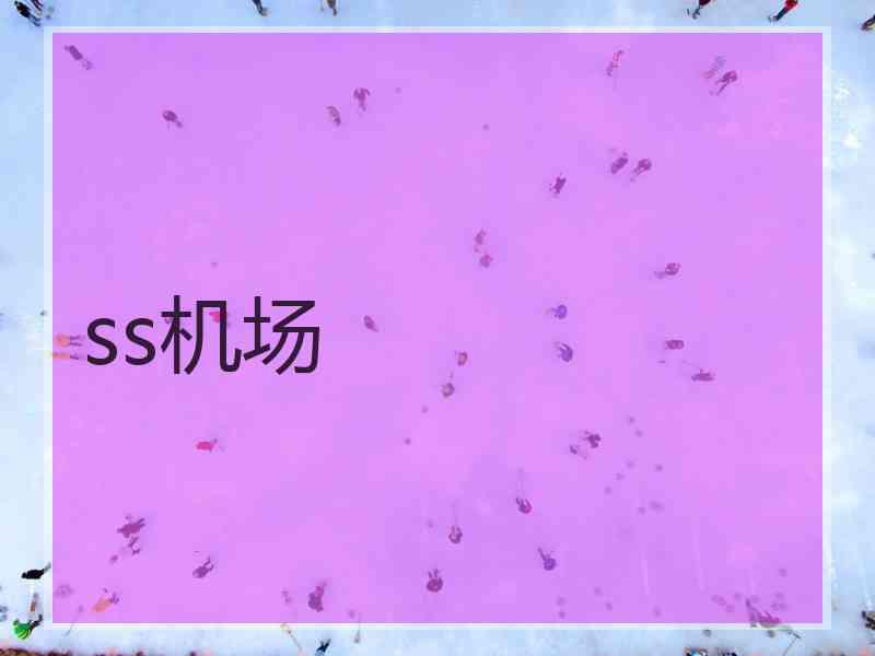 ss机场