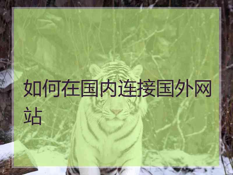 如何在国内连接国外网站