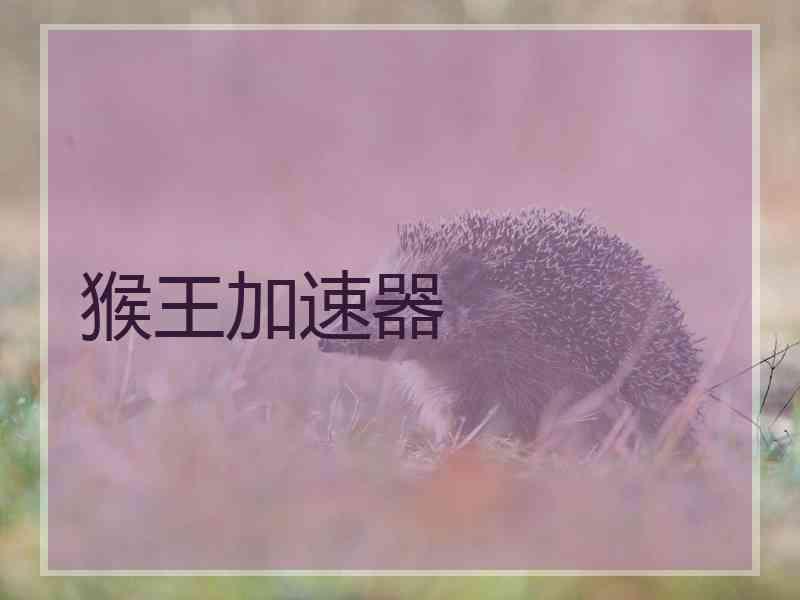 猴王加速器