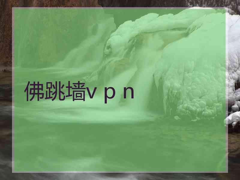 佛跳墙v p n