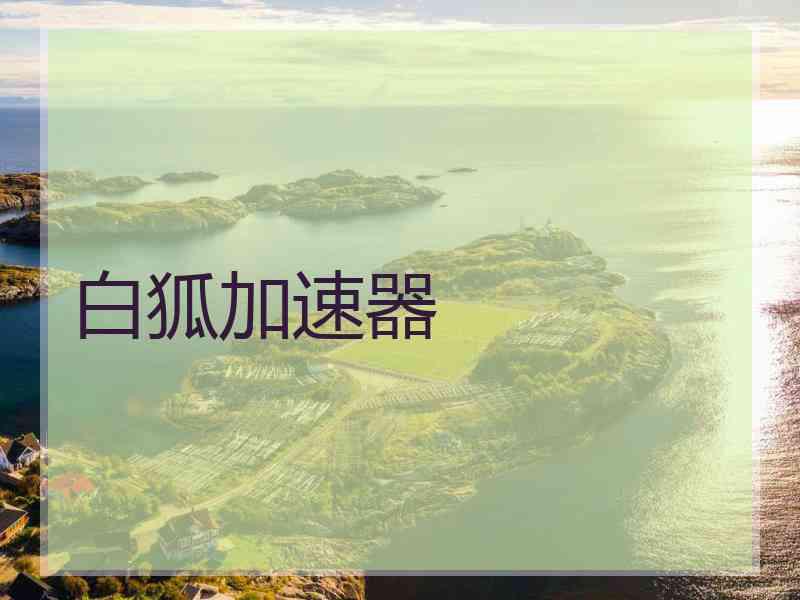 白狐加速器