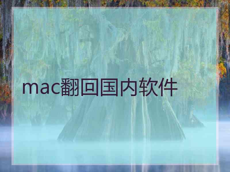 mac翻回国内软件