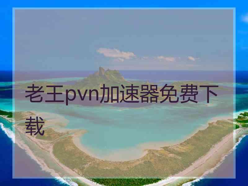 老王pvn加速器免费下载