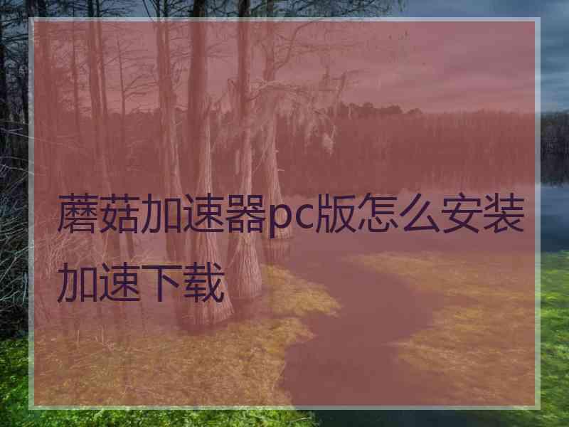 蘑菇加速器pc版怎么安装加速下载