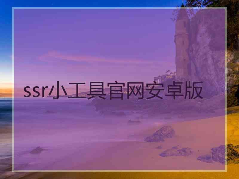 ssr小工具官网安卓版