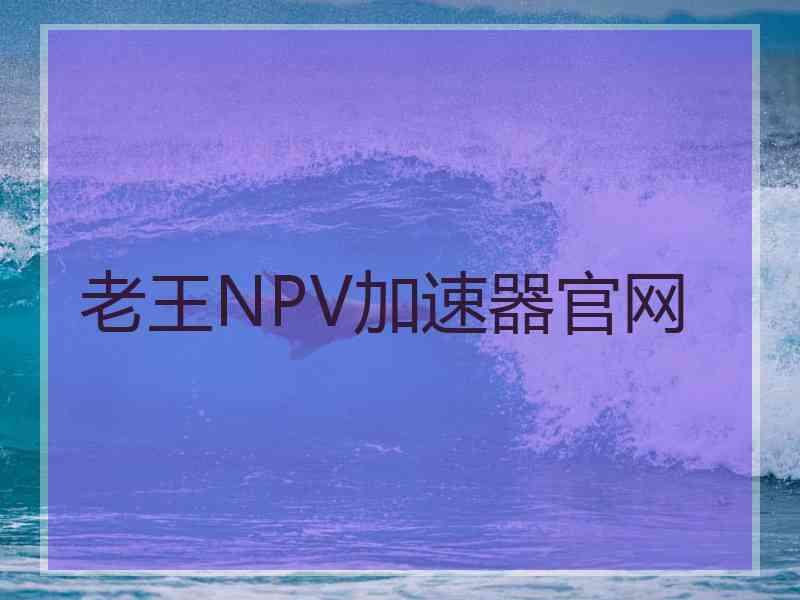 老王NPV加速器官网