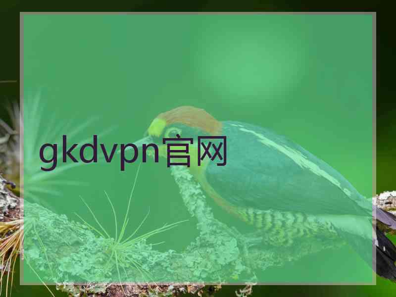 gkdvpn官网