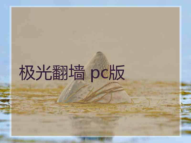极光翻墙 pc版