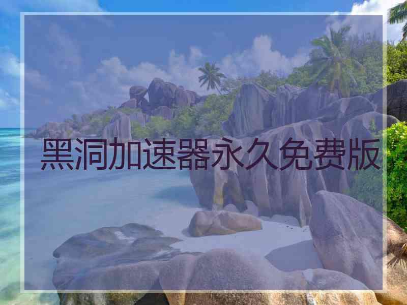 黑洞加速器永久免费版