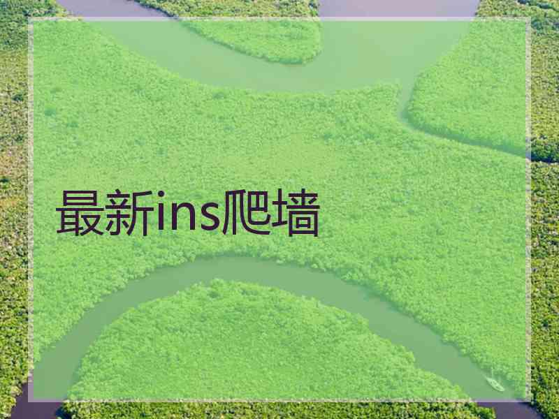 最新ins爬墙