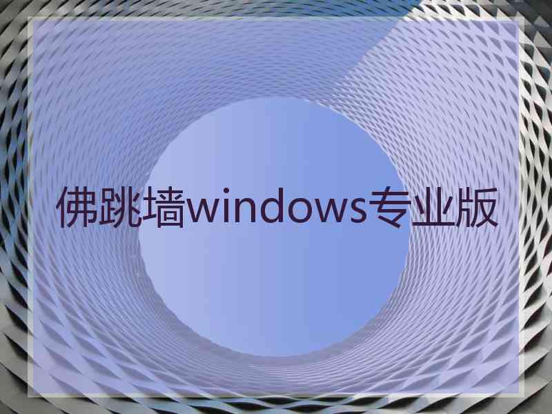 佛跳墙windows专业版