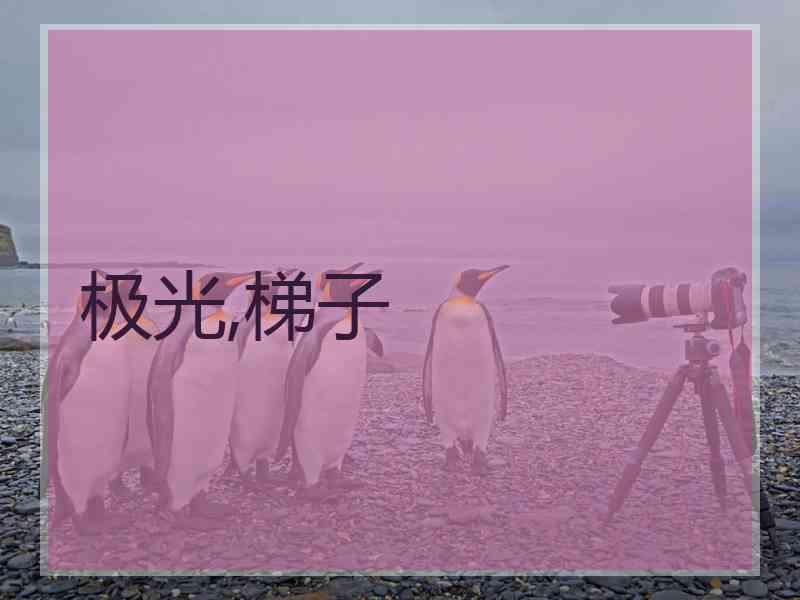 极光,梯子
