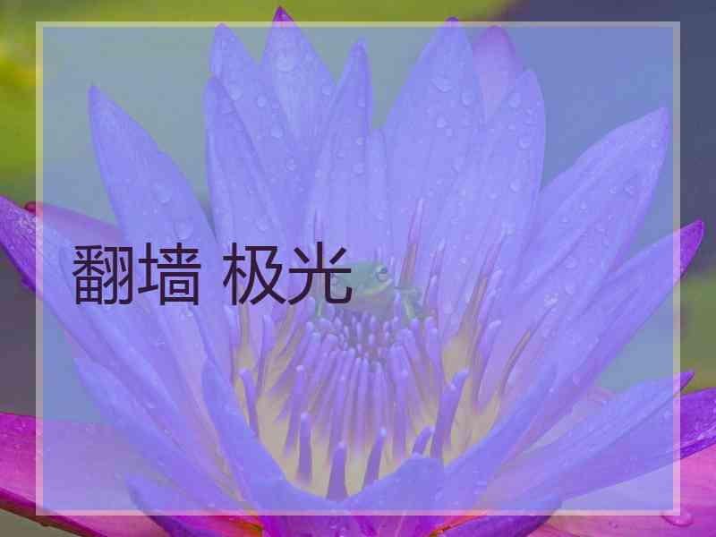 翻墙 极光