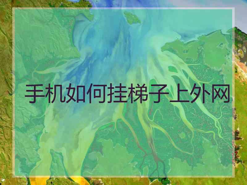 手机如何挂梯子上外网