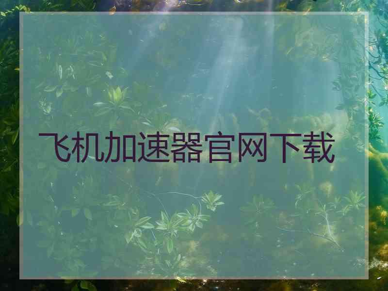 飞机加速器官网下载